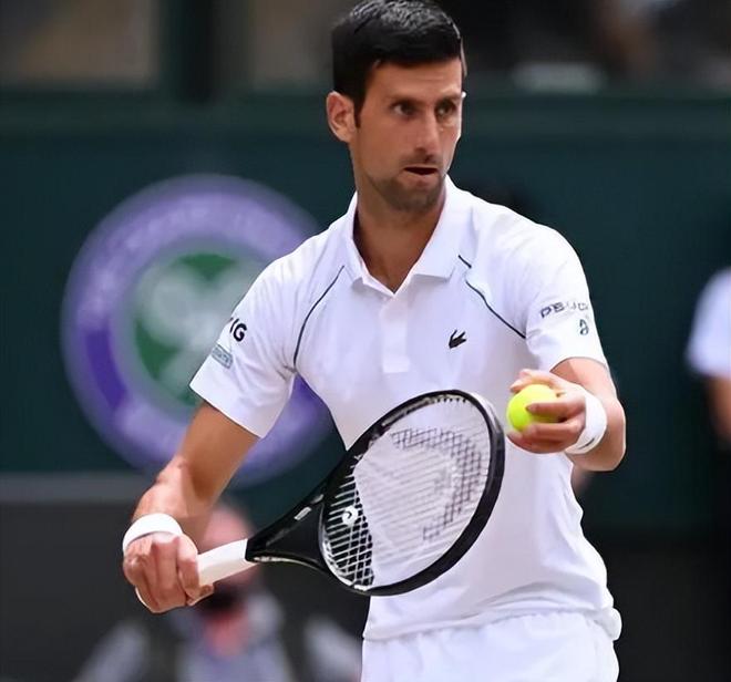 不仅展现了 不仅展现了