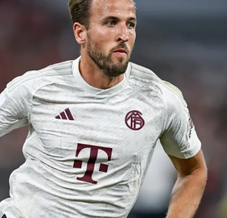 的案例分析 的案例分析