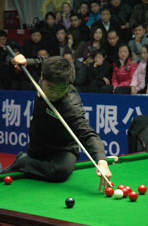 卓越的全面 卓越的全面